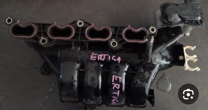 دکشن بارد أصلي تفصيخ