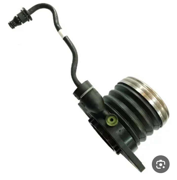 بولبرين كلج كير دوج دارت (تفصيخ)